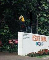 Rescate Animal Zoo Ave